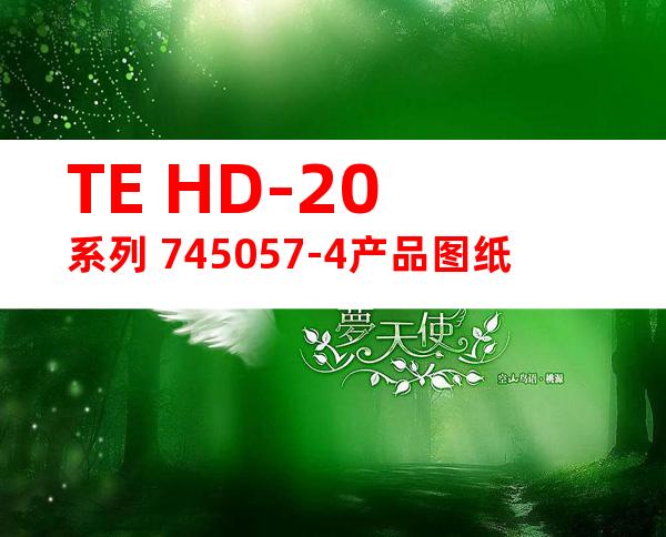 TE HD-20系列 745057-4产品图纸